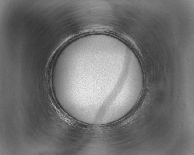 X0000076440827200610061023