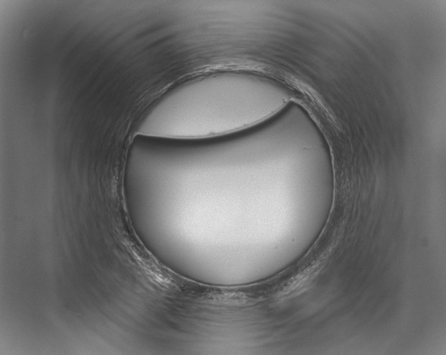 X0000076440833200610061023
