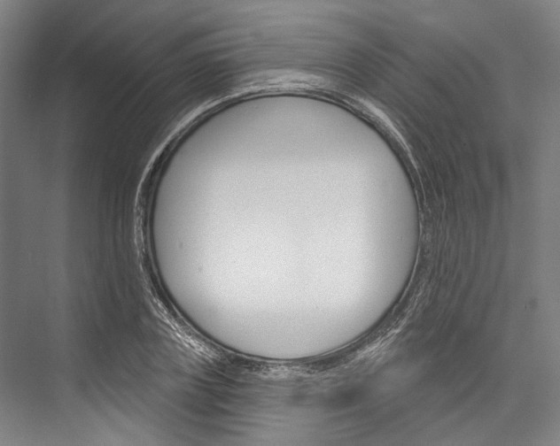 X0000076440835200610061023