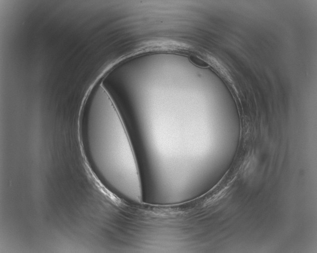 X0000076440843200610061023