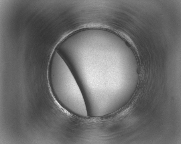 X0000076440847200610061023
