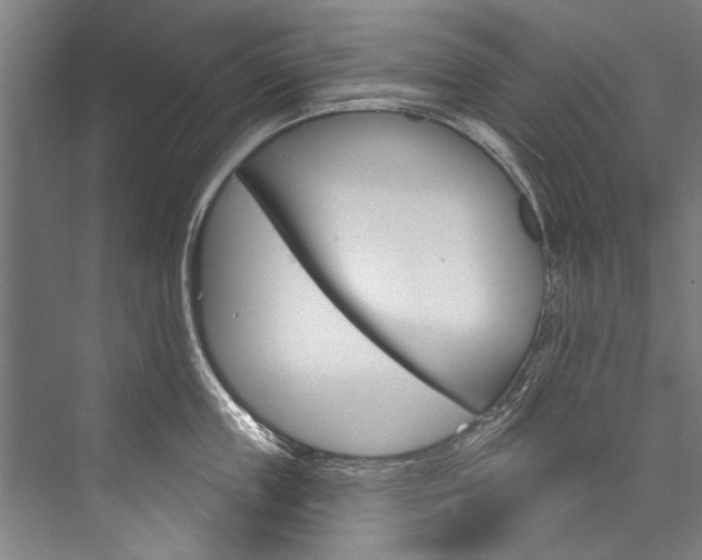 X0000076440859200610061023