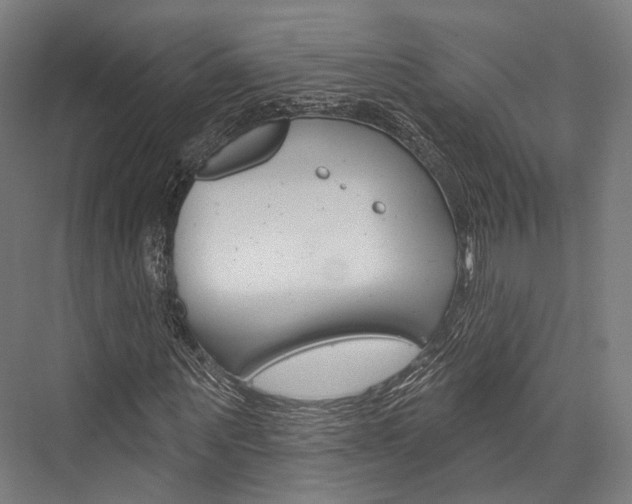 X0000076440867200610061023