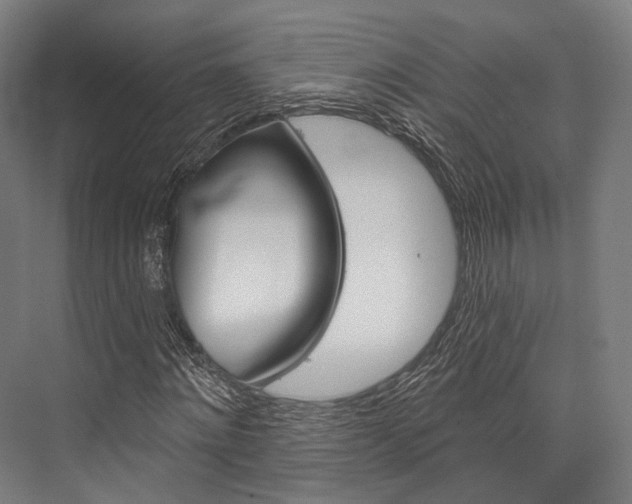 X0000076440868200610061023