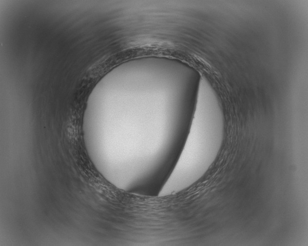 X0000076440869200610061023
