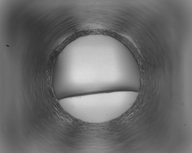 X0000076440871200610061022
