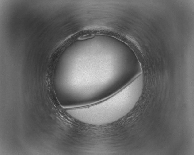 X0000076440872200610061022