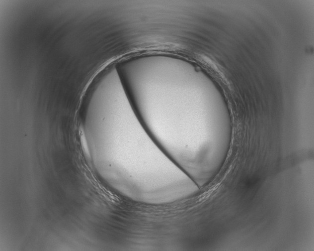 X0000076440875200610061022