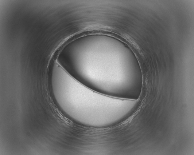 X0000076440877200610061022