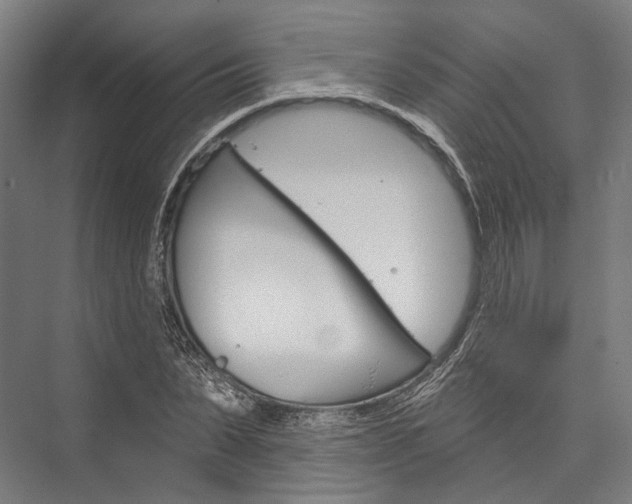 X0000076440879200610061022