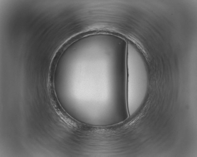 X0000076440880200610061022