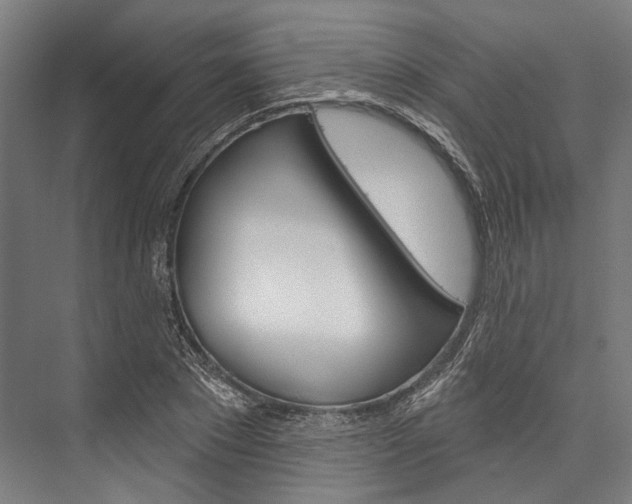 X0000076440881200610061022