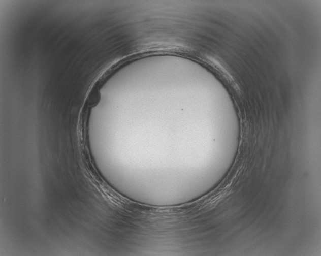 X0000076440883200610061022