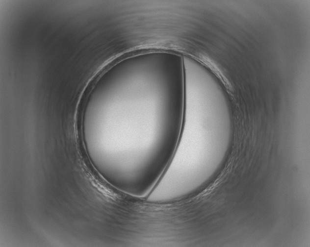 X0000076440884200610061022