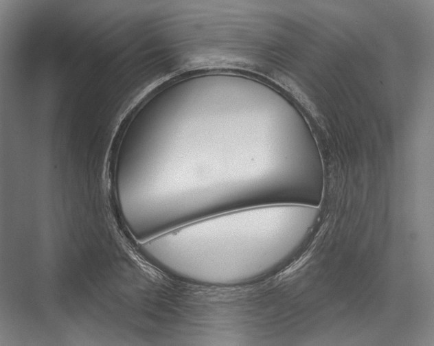 X0000076440885200610061022