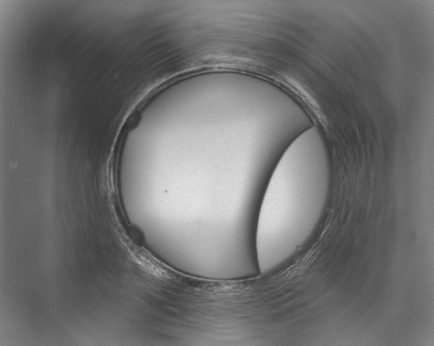 X0000076440891200610061022