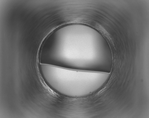 X0000076440892200610061022