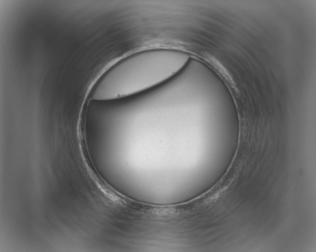X0000076440893200610061022