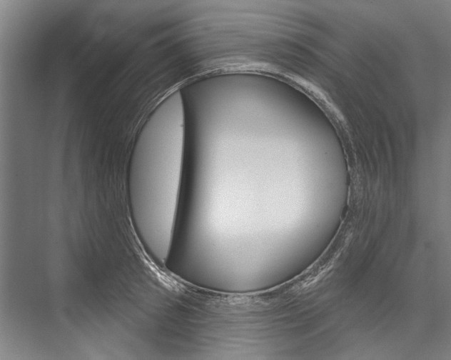 X0000076440897200610061022