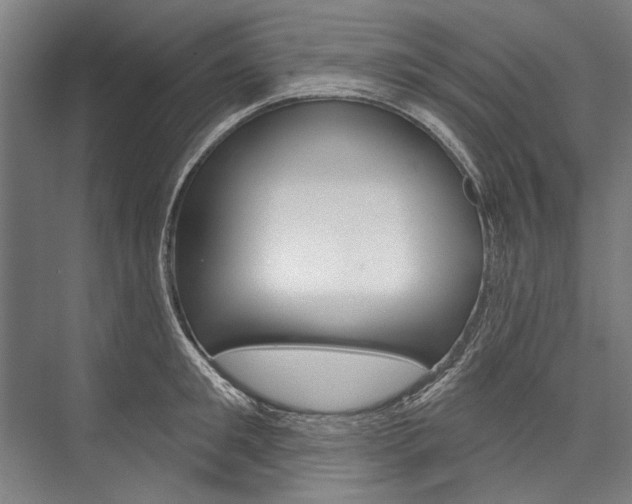 X0000076440901200610061022