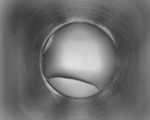 X0000076440903200610061022