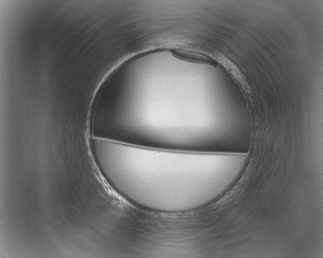 X0000076440904200610061022