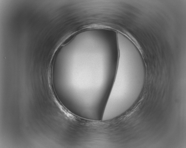 X0000076440909200610061022