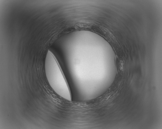 X0000076440915200610061021