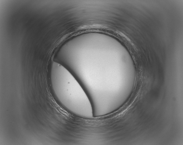 X0000076440921200610061021