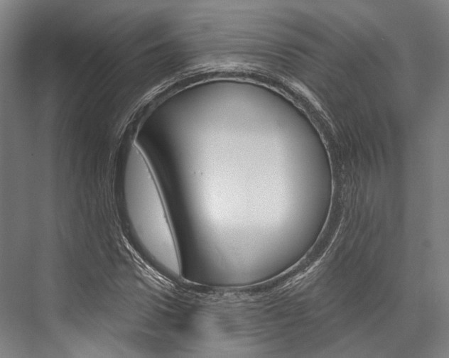 X0000076440922200610061021