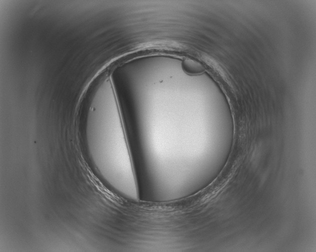 X0000076440923200610061021