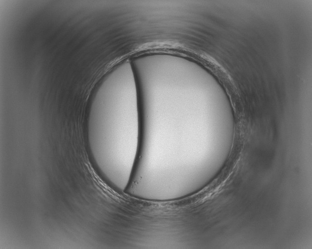 X0000076440929200610061021