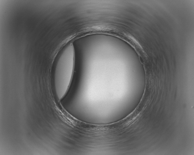 X0000076440930200610061021