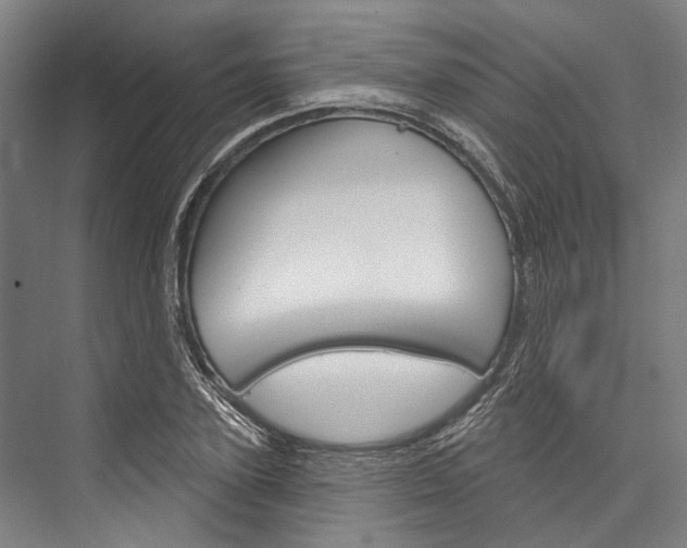 X0000076440931200610061021