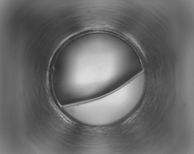 X0000076440932200610061021