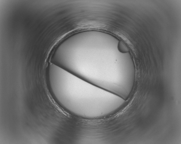 X0000076440933200610061021