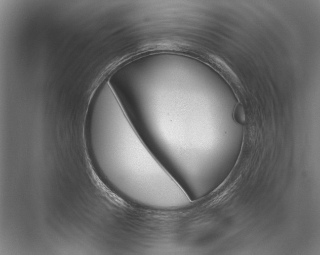 X0000076440938200610061021
