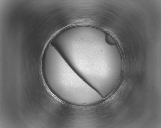X0000076440941200610061021