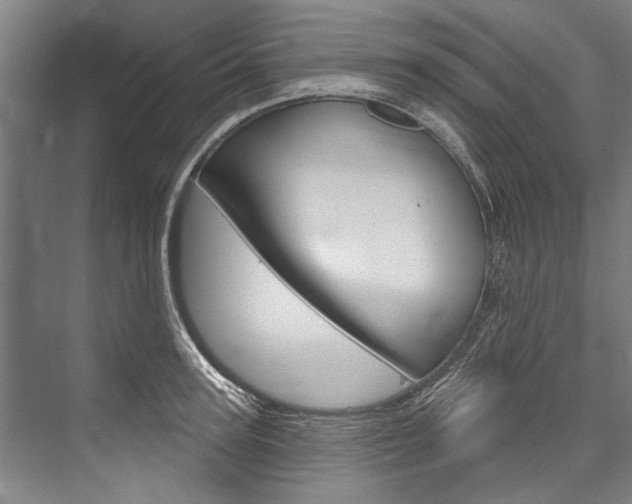 X0000076440947200610061022