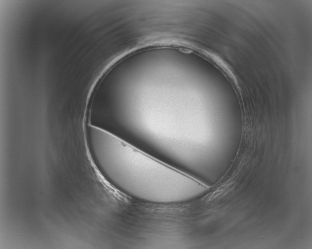 X0000076440951200610061022