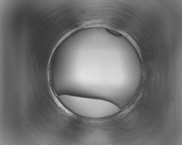 X0000076440957200610061022