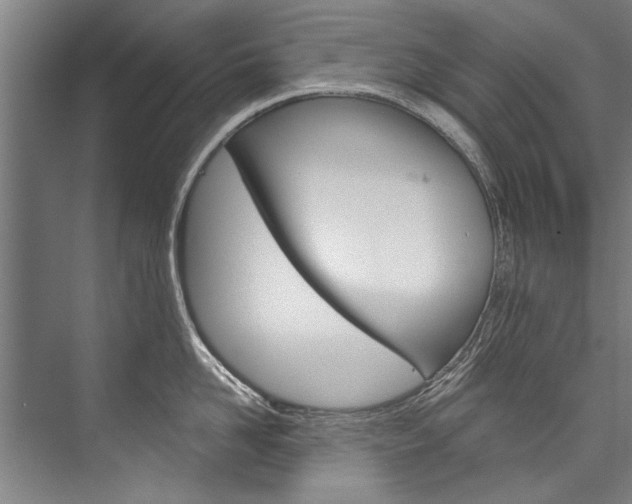 X0000076440958200610061022