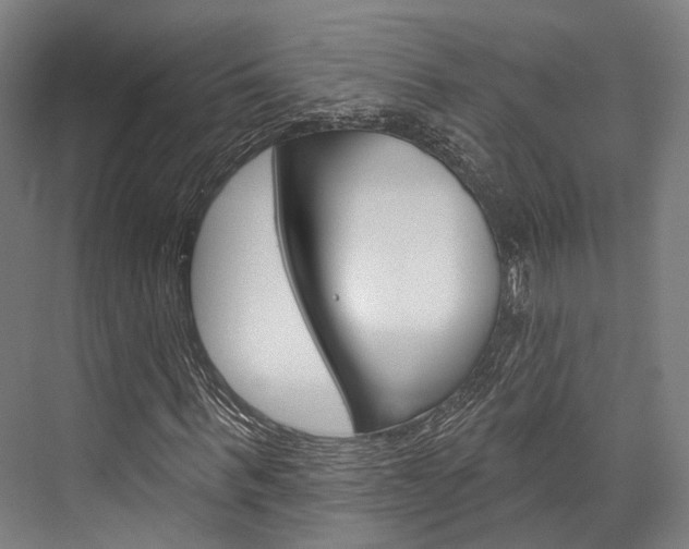 X0000076440963200610061021
