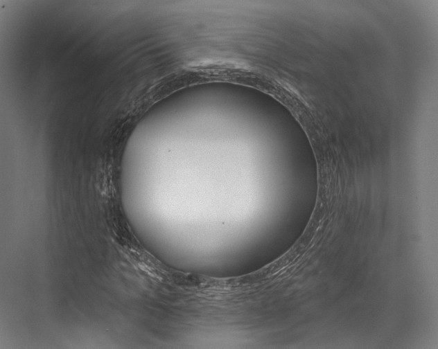 X0000076440965200610061021