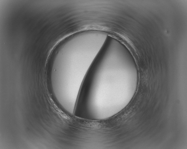 X0000076440971200610061021
