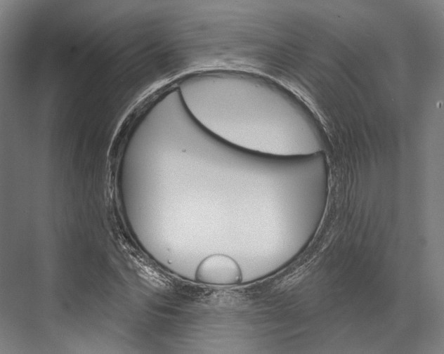 X0000076440974200610061021