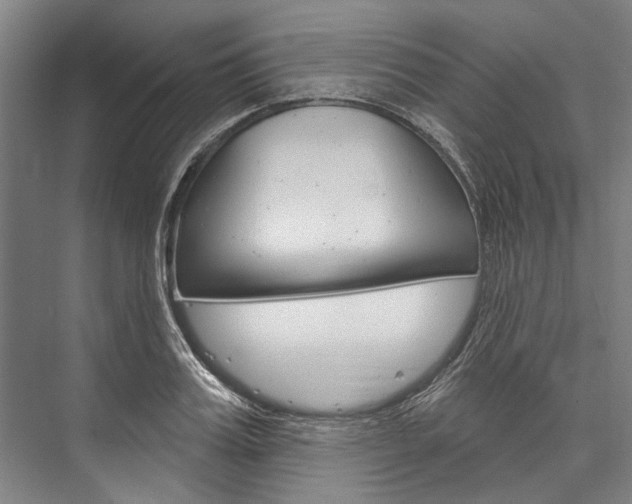 X0000076440987200610061021