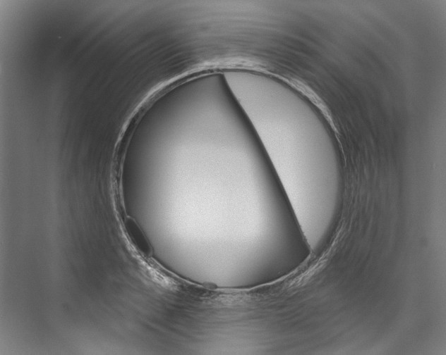X0000076440989200610061020