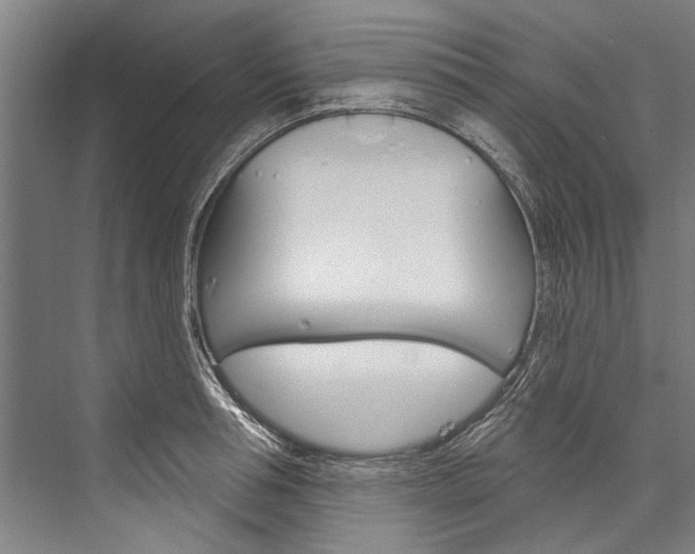 X0000076440994200610061020