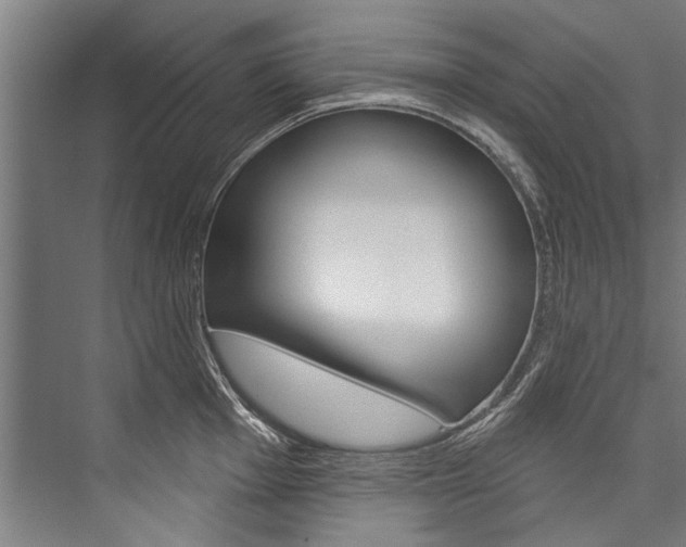 X0000076441001200610061020
